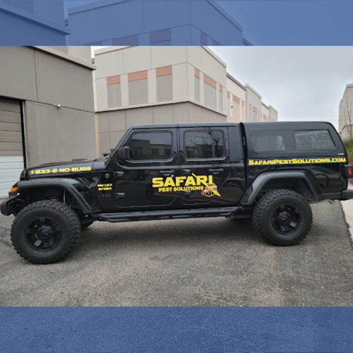 Vinyl Graphics